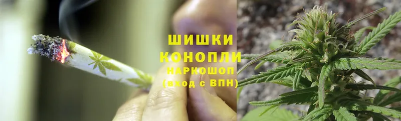 Канабис Bruce Banner  Жиздра 